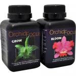 Orchid Focus Bloom 300 ml